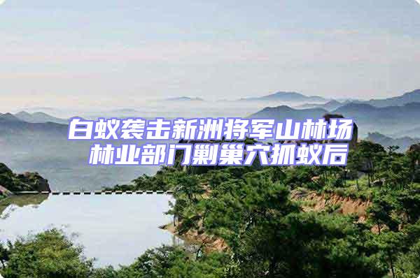 白蟻襲擊新洲將軍山林場 林業部門剿巢穴抓蟻后
