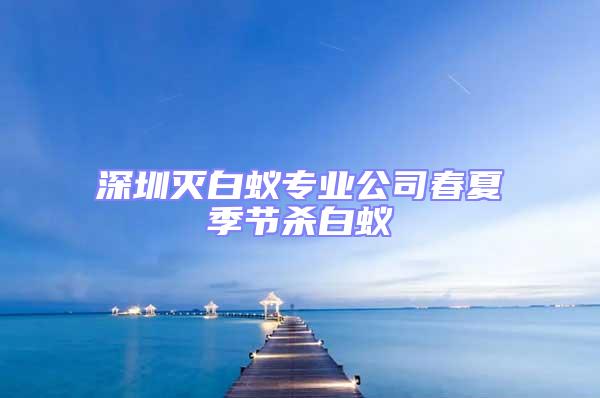 深圳滅白蟻專業公司春夏季節殺白蟻