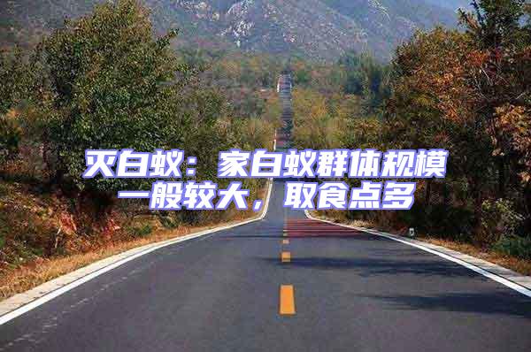 滅白蟻：家白蟻群體規(guī)模一般較大，取食點(diǎn)多