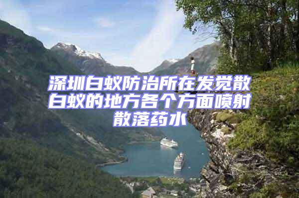深圳白蟻防治所在發覺散白蟻的地方各個方面噴射散落藥水