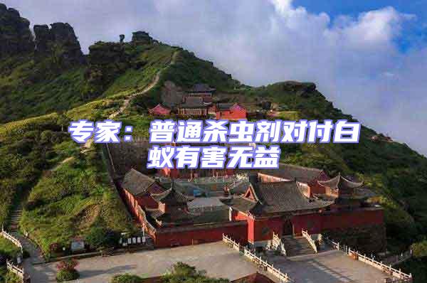 專家：普通殺蟲劑對付白蟻有害無益