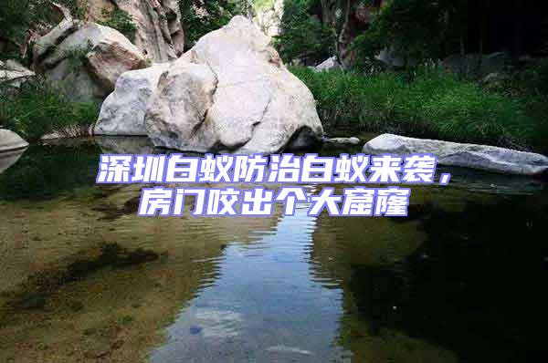 深圳白蟻防治白蟻來襲，房門咬出個大窟窿