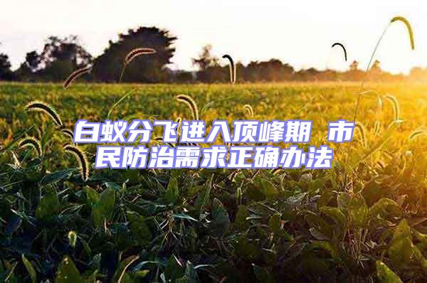 白蟻分飛進入頂峰期 市民防治需求正確辦法