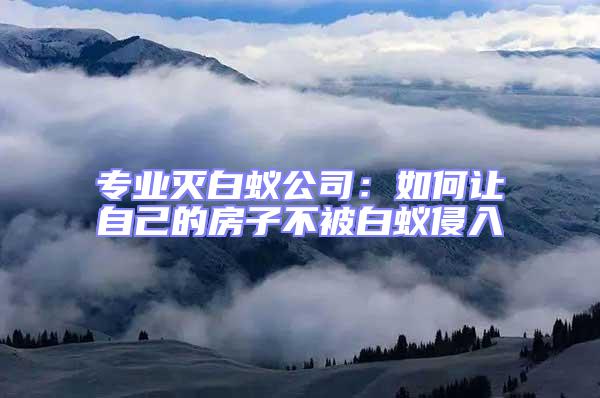專業滅白蟻公司：如何讓自己的房子不被白蟻侵入