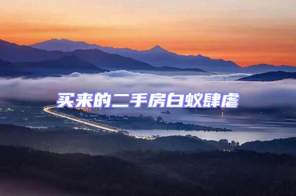 買來(lái)的二手房白蟻肆虐