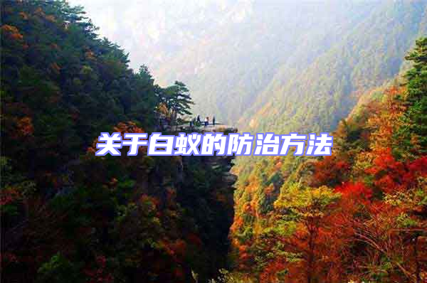 關于白蟻的防治方法