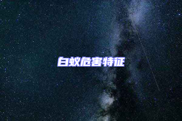 白蟻危害特征