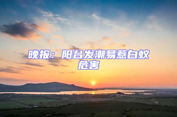 晚報：陽臺發(fā)潮易惹白蟻危害