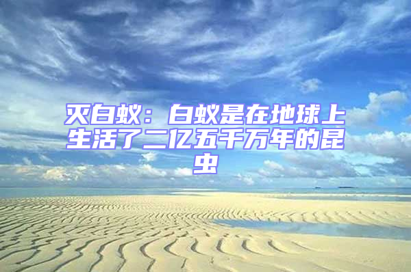 滅白蟻：白蟻是在地球上生活了二億五千萬年的昆蟲