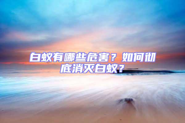 白蟻有哪些危害？如何徹底消滅白蟻？