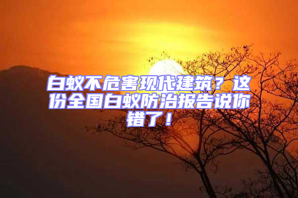 白蟻不危害現代建筑？這份全國白蟻防治報告說你錯了！