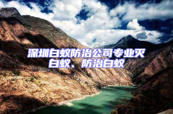 深圳白蟻防治公司專業滅白蟻、防治白蟻