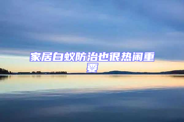 家居白蟻防治也很熱鬧重要