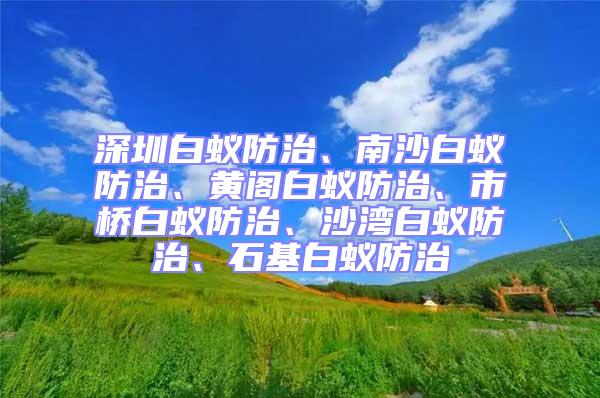 深圳白蟻防治、南沙白蟻防治、黃閣白蟻防治、市橋白蟻防治、沙灣白蟻防治、石基白蟻防治