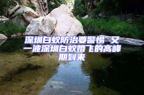 深圳白蟻防治要警惕 又一波深圳白蟻婚飛的高峰期到來
