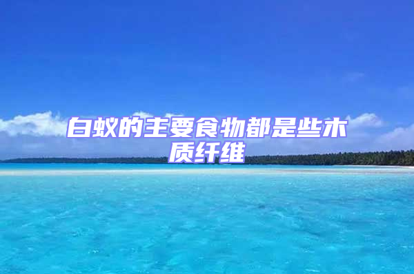 白蟻的主要食物都是些木質纖維