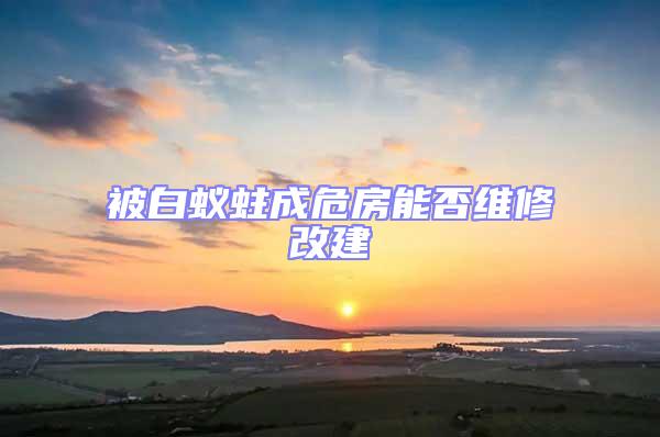 被白蟻蛀成危房能否維修改建