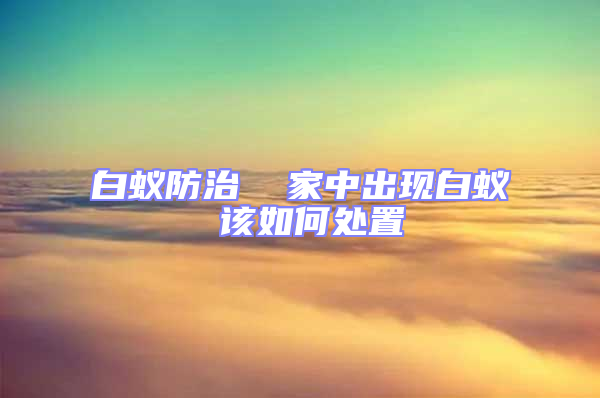 白蟻防治  家中出現白蟻 該如何處置