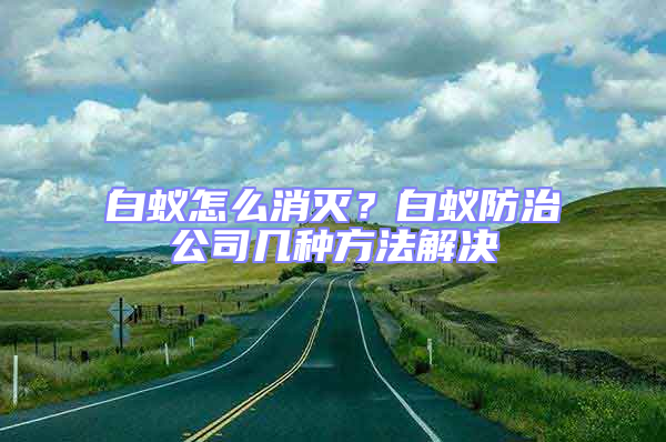 白蟻怎么消滅？白蟻防治公司幾種方法解決