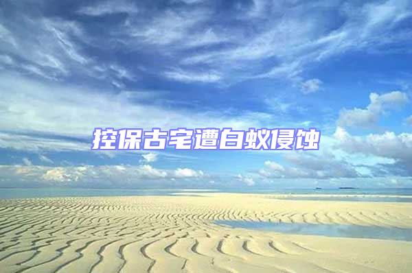 控保古宅遭白蟻侵蝕