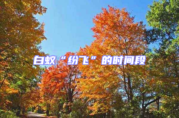白蟻“紛飛”的時間段