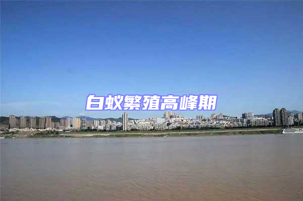 白蟻繁殖高峰期