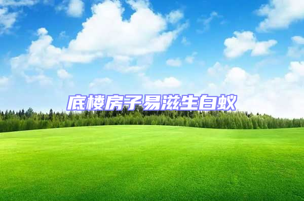 底樓房子易滋生白蟻