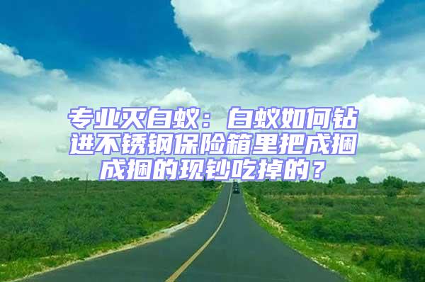 專業(yè)滅白蟻：白蟻如何鉆進(jìn)不銹鋼保險(xiǎn)箱里把成捆成捆的現(xiàn)鈔吃掉的？