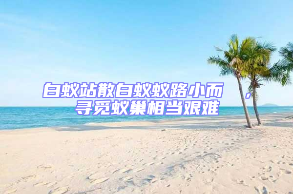 白蟻站散白蟻蟻路小而骫骳，尋覓蟻巢相當艱難