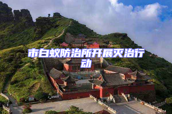 市白蟻防治所開展滅治行動