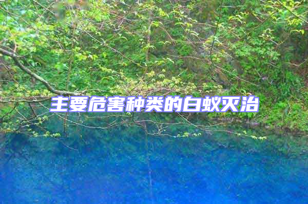 主要危害種類的白蟻滅治