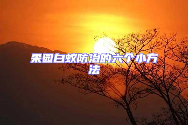 果園白蟻防治的六個小方法