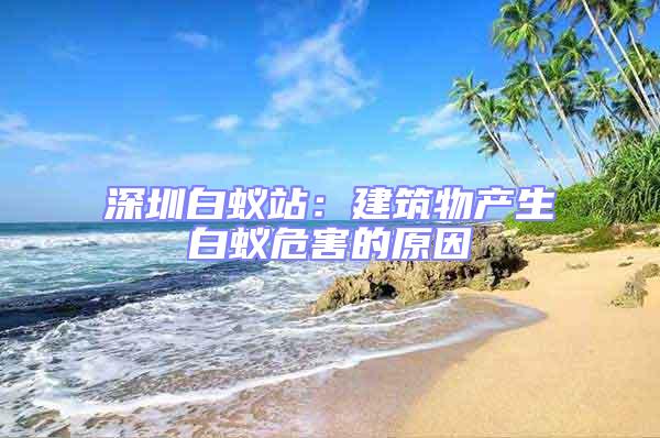 深圳白蟻站：建筑物產生白蟻危害的原因