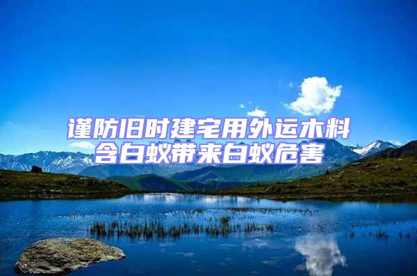 謹防舊時建宅用外運木料含白蟻帶來白蟻危害