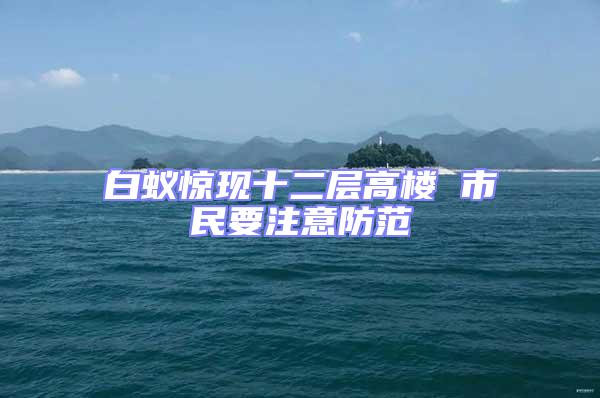 白蟻驚現十二層高樓 市民要注意防范