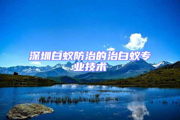 深圳白蟻防治的治白蟻專業(yè)技術