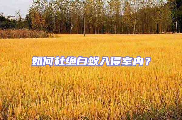 如何杜絕白蟻入侵室內(nèi)？