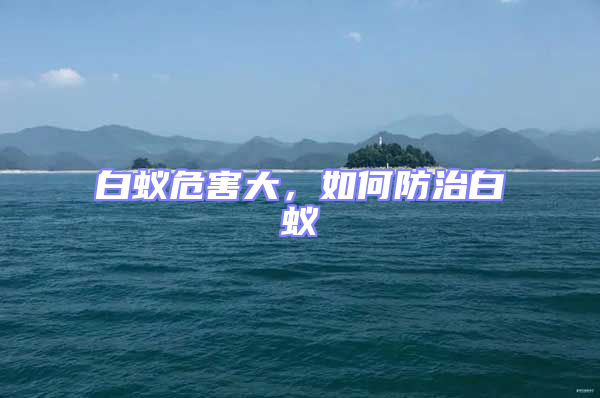 白蟻危害大，如何防治白蟻