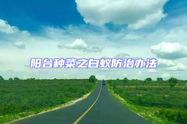 陽(yáng)臺(tái)種菜之白蟻防治辦法