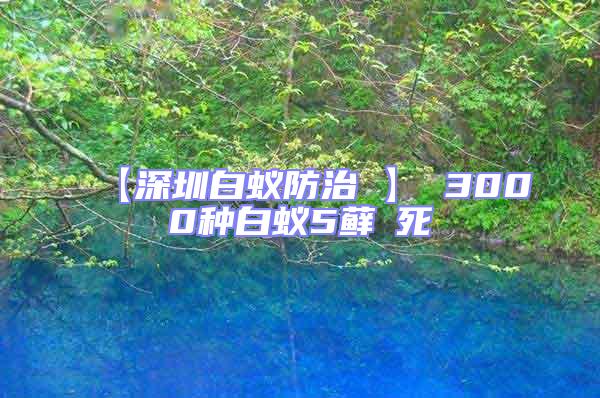 【深圳白蟻防治 】 3000種白蟻5蘚θ死