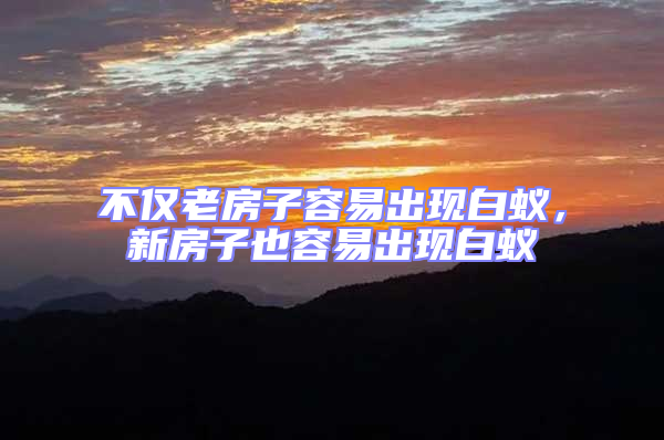 不僅老房子容易出現白蟻，新房子也容易出現白蟻