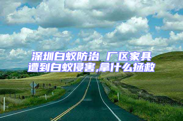 深圳白蟻防治 廠區家具遭到白蟻侵害,拿什么拯救