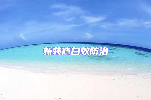 新裝修白蟻防治