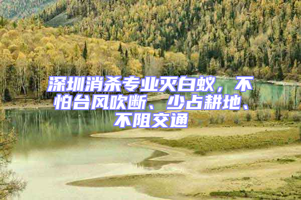 深圳消殺專業(yè)滅白蟻，不怕臺風吹斷、少占耕地、不阻交通