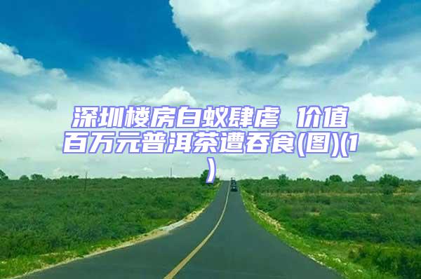 深圳樓房白蟻肆虐 價值百萬元普洱茶遭吞食(圖)(1)