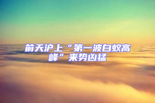 前天滬上“第一波白蟻高峰”來勢兇猛