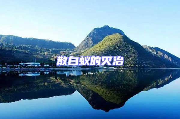 散白蟻的滅治