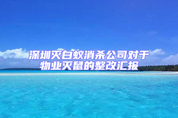 深圳滅白蟻消殺公司對(duì)于物業(yè)滅鼠的整改匯報(bào)