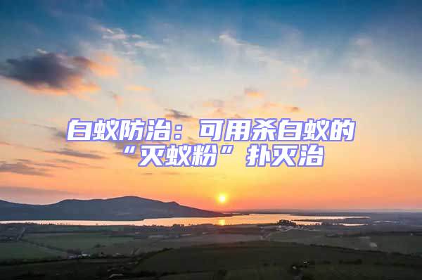 白蟻防治：可用殺白蟻的“滅蟻粉”撲滅治