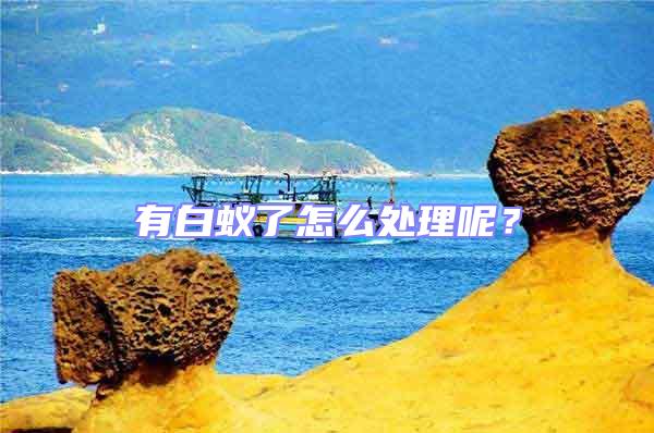有白蟻了怎么處理呢？